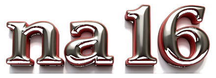 na 16 logo